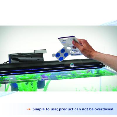 Show full view: Aqueon PURE Bacteria Supplement, 10-gal, 4 count slide 6 of 12