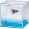 Show in main carousel: Aqueon PURE Betta Beads Aquarium Water Care, 8.8-oz bag, Blue, bundle of 2 slide 4 of 9