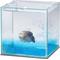 Show in main carousel: Aqueon PURE Betta Beads Aquarium Water Care, 8.8-oz bag, Blue, bundle of 2 slide 5 of 9