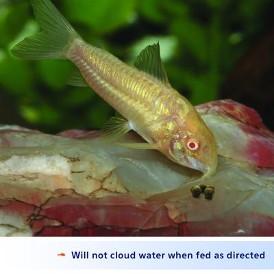 Show full view: Aqueon Shrimp Pellets Fish Food, 3.25-oz jar. slide 7 of 11