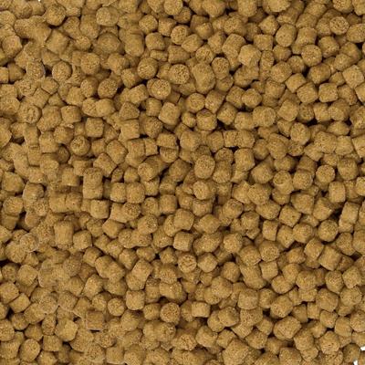 Show full view: Aqueon Shrimp Pellets Fish Food, 6.5-oz jar, bundle of 2 slide 5 of 10