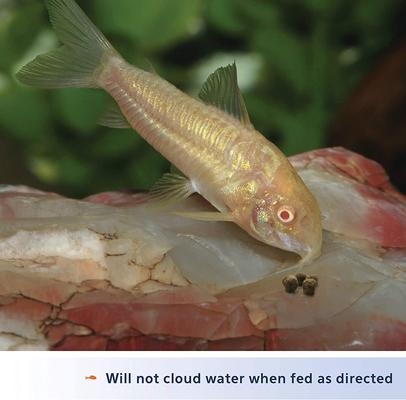 Show full view: Aqueon Shrimp Pellets Fish Food, 6.5-oz jar, bundle of 2 slide 7 of 10