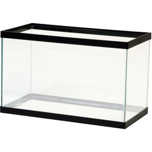 Aqueon Standard Glass Rectangle Aquarium, 10 Gallon