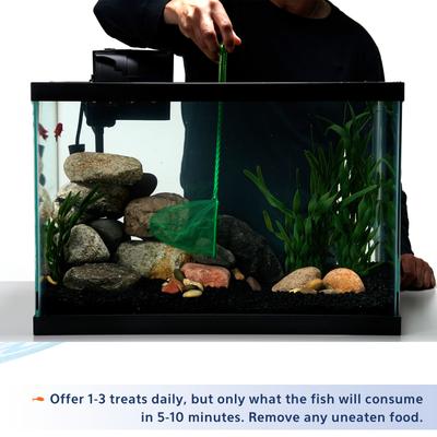 Show full view: Aqueon Stick'ems Freeze-Dried High Protein Treat Fish Food, 0.7-oz bag slide 6 of 11