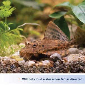 Aqueon Tablets Bottom Feeder Fish Food, 3-oz bag