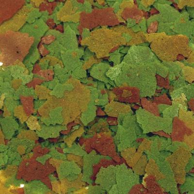 Show full view: Aqueon Tropical Flakes Freshwater Fish Food, .45-oz jar slide 2 of 9