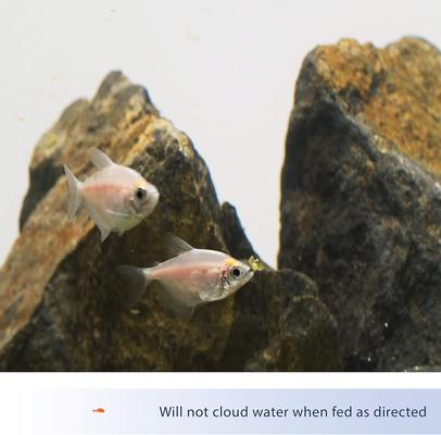 Show full view: Aqueon Tropical Flakes Freshwater Fish Food, .45-oz jar slide 4 of 9