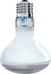 Arcadia Reptile GoldenSun Reptile Basking Flood Light, 100-watt