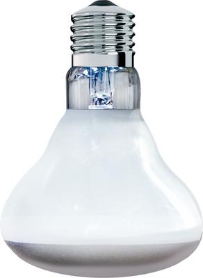 Show full view: Arcadia Reptile GoldenSun Reptile Basking Flood Light, 150-watt slide 1 of 4