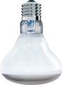 Arcadia Reptile GoldenSun Reptile Basking Flood Light, 150-watt