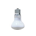 Arcadia Reptile GoldenSun Reptile Basking Flood Light, 50-watt