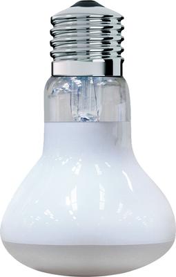 Show full view: Arcadia Reptile GoldenSun Reptile Basking Flood Light, 75-watt slide 1 of 4