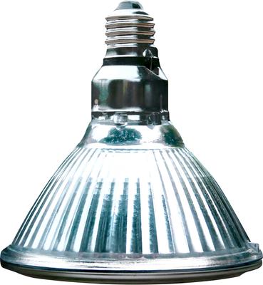 Show full view: Arcadia Reptile GoldenSun Reptile Halogen Heat Lamp, 100-watt slide 1 of 5