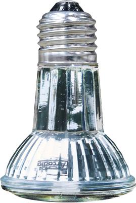 Show full view: Arcadia Reptile GoldenSun Reptile Halogen Heat Lamp, 50-watt slide 1 of 5