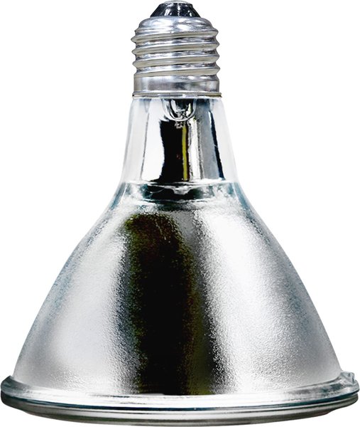 Arcadia Reptile GoldenSun Reptile Halogen Heat Lamp