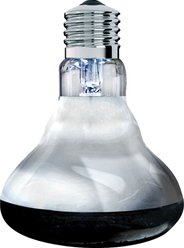 Arcadia Reptile GoldenSun Basking Spotlight Heat Lamp, 150-watt