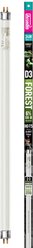 Arcadia Reptile D3+ Reptile T5 Bulb, Forest 6% UVB, 24W, 22"