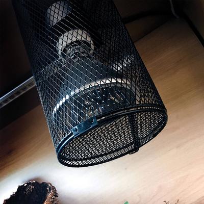 Show full view: Arcadia Reptile Deep Heat Projector, 50-watt slide 5 of 6