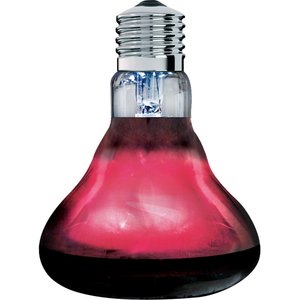 Arcadia Reptile Basking Red Light, 100-watt