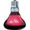 Show in main carousel: Arcadia Reptile Basking Red Light, 100-watt slide 1 of 4