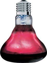 Arcadia Reptile Basking Red Light, 150-watt