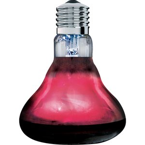 Arcadia Reptile Basking Red Light, 150-watt