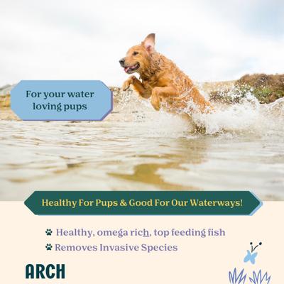 Show full view: Arch Single Ingredient Sustainable Fish Dehydrated Dog Treats, 2-oz bag slide 3 of 9