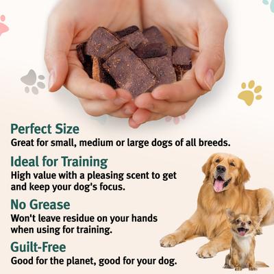 Show full view: Arch Skin & Coat Health Functional Soft & Chewy Treat Supplement for Dogs, 5-oz bag slide 5 of 8