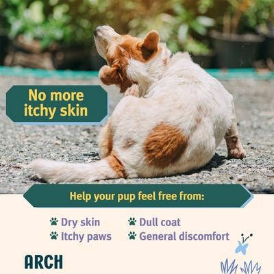 Show full view: Arch Skin & Coat Health Functional Soft & Chewy Treat Supplement for Dogs, 5-oz bag slide 3 of 8