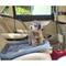 Show in main carousel: Archstone Pets Flat Bolster Rectangular Cat & Dog Crate Bed, Gray, Large slide 7 of 9