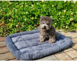 Archstone Pets Flat Bolster Rectangular Cat & Dog Crate Bed, Gray, Medium