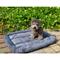 Show in main carousel: Archstone Pets Flat Bolster Rectangular Cat & Dog Crate Bed, Gray, Medium slide 1 of 9