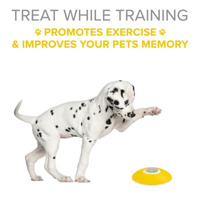 Show full view: Arf Pets Memory & Training Activity Dog Treat Dispenser slide 3 of 8
