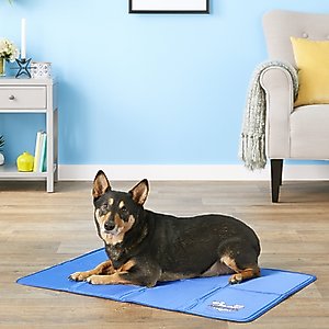 Arf Pets Self-Cooling Solid Gel Dog Crate Mat, 23 x 35 in