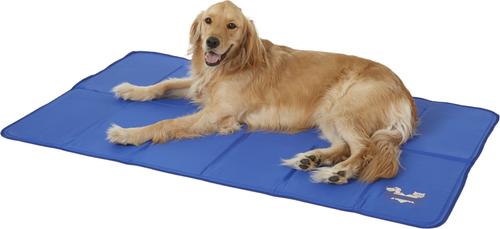 Show full view: Arf Pets Self-Cooling Solid Gel Dog Crate Mat, 35 x 55 in slide 2 of 9