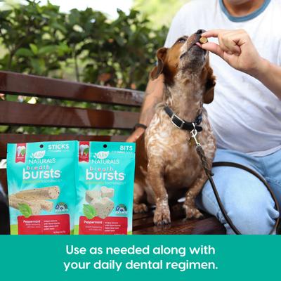 Show full view: Ark Naturals Breath Bursts Peppermint Bits Small Dental Dog Treats, 4-oz bag slide 8 of 11