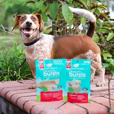 Show full view: Ark Naturals Breath Bursts Peppermint Sticks Medium/Large Dental Dog Treats, 6-oz bag slide 6 of 10