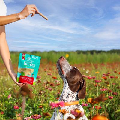 Show full view: Ark Naturals Breath Bursts Peppermint Sticks Medium/Large Dental Dog Treats, 6-oz bag slide 9 of 10