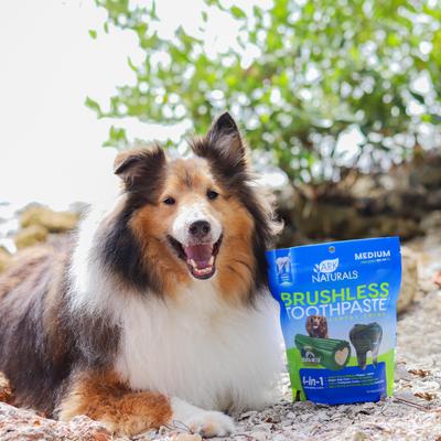 Show full view: Ark Naturals Brushless Toothpaste Medium Dental Dog Treats, 18-oz bag slide 6 of 12