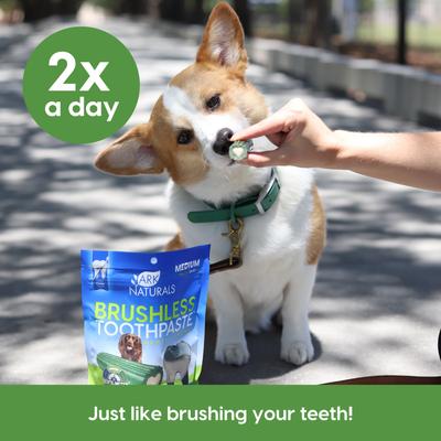 Show full view: Ark Naturals Brushless Toothpaste Medium Dental Dog Treats, 18-oz bag slide 8 of 12