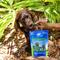 Show in main carousel: Ark Naturals Brushless Toothpaste Medium Dental Dog Treats, 18-oz bag slide 9 of 12