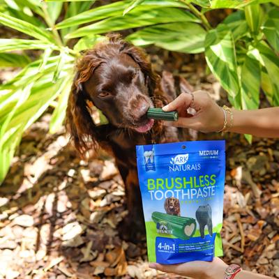Show full view: Ark Naturals Brushless Toothpaste Medium Dental Dog Treats, 18-oz bag slide 9 of 12
