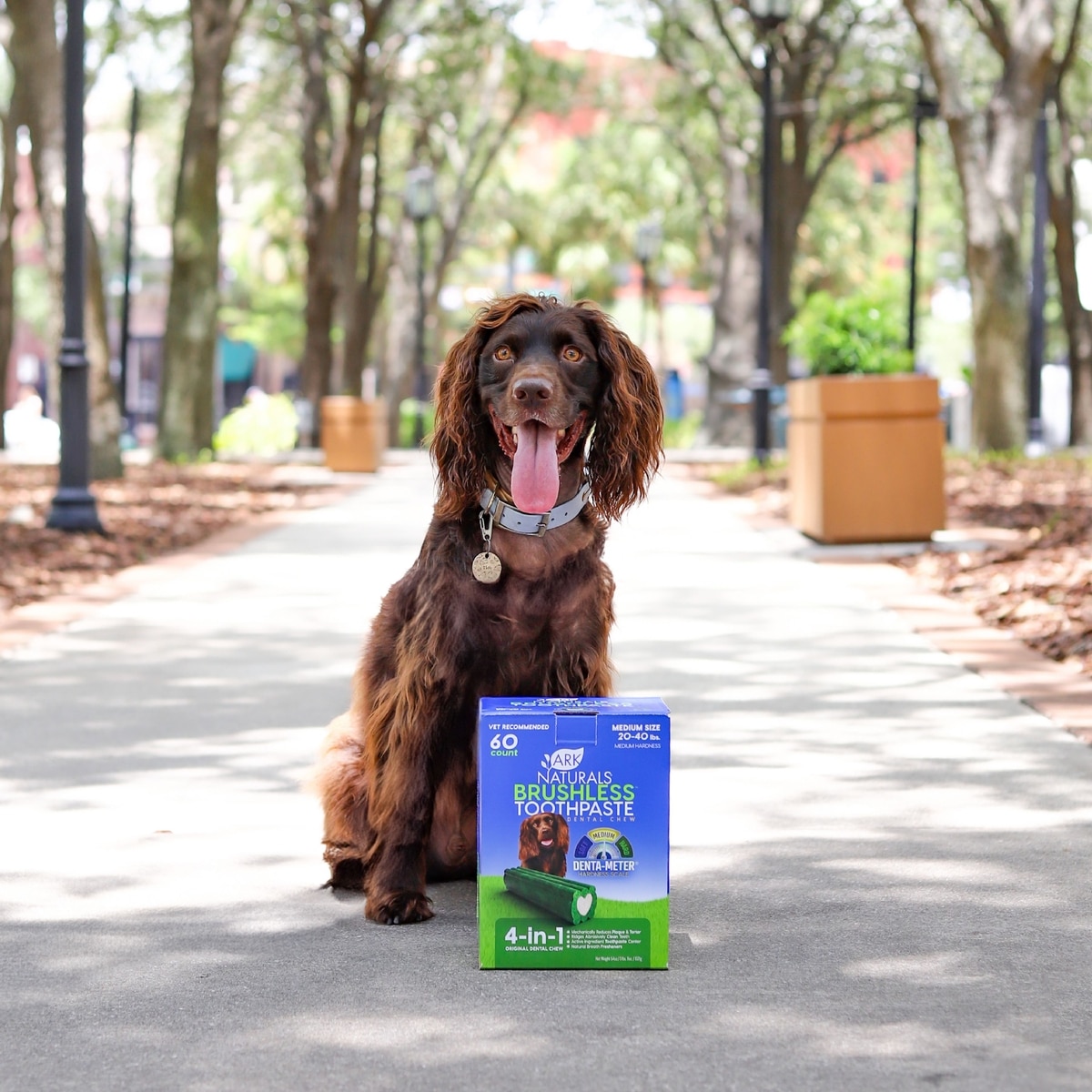 ARK NATURALS Brushless Toothpaste Medium Dental Dog Treats, 54-oz