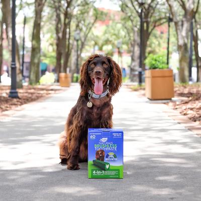 Show full view: Ark Naturals Brushless Toothpaste Medium Dental Dog Treats, 54-oz box slide 6 of 12