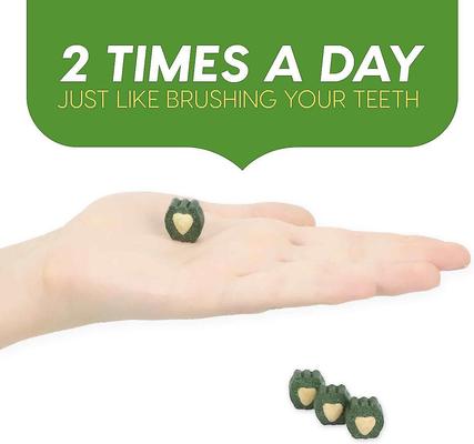 Show full view: Ark Naturals Brushless Toothpaste Mini Dental Dog Treats, 4-oz bag, bundle of 2 slide 8 of 11