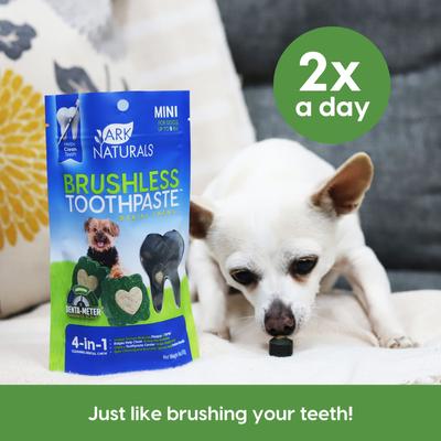 Show full view: Ark Naturals Brushless Toothpaste Mini Dental Dog Treats, 4-oz bag, count varies slide 8 of 12