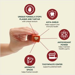 Ark Naturals Protection+ Brushless Toothpaste Large Dental Dog Treats, 18-oz bag, count varies slide 2 of 8