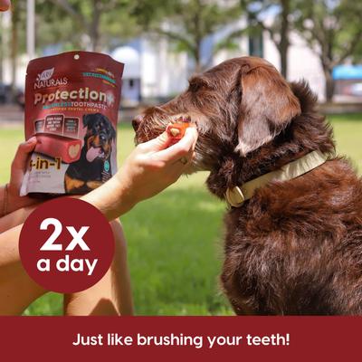 Show full view: Ark Naturals Protection+ Brushless Toothpaste Large Dental Dog Treats, 18-oz bag, count varies slide 8 of 12
