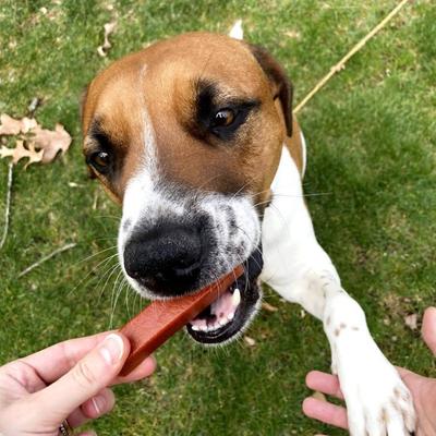 Show full view: Ark Naturals Protection+ Brushless Toothpaste Large Dental Dog Treats, 18-oz bag, count varies slide 9 of 12