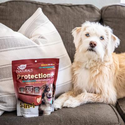 Show full view: Ark Naturals Brushless Toothpaste Protection+ Medium Dental Dog Treats, 18-oz bag, count varies slide 6 of 12